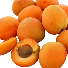 Abricots bio 500g