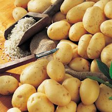 Pommes de terre Nicola, de consommation à chair ferme, calibre 35/55,catégorie 1, France, filet 2,5kg