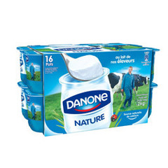 Danone nature 16x125g