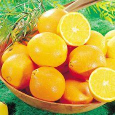 Oranges valencia late, calibre 4, catégorie 1, non traité, Espagne, sachet 4 fruits