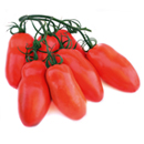 tomate allongée bio 6 fruits 350g