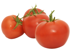 Tomate, calibre 47/57, catégorie 1, Espagne, filet 1kg