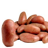 Pommes de terre de consommation Rou. salad ris.2.5kg