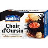 Chair d'oursin NAUTILUS 1/6, 75g