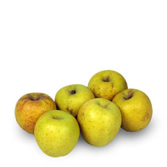 Biologique - Pomme Delisdor bio cat 2 - Origine FRANCE A la couleur jaune or, c'est une pomme tres fruitee et juteuse.