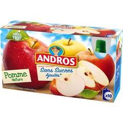 Andros Sans Sucres Ajoutés - Dessert fruitier pomme nature les 10 gourdes de 90 g