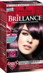 Brillance Coloration Cerise Noire N°888