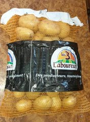 Pommes de terre de consommation blanches lavées