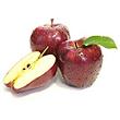 Pomme Red Delicious, RED CHIEF, calibre 201/270, catégorie 1, France 500 g