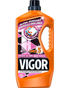 VIGOR FORCE 5 1,3L