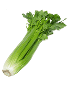 Celeri branche Cat 1