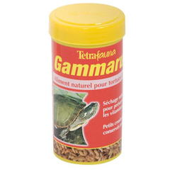 Gammarus, aliment naturel pour tortues d'eau