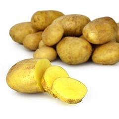 Pommes de terre blanche Agata ou Nicolas