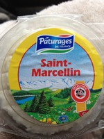 Saint Marcellin 50% MG, le fromage,160g