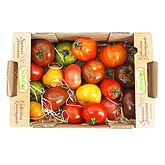 Tomate collection gourmande Plateau 1,5kg