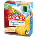 Andros Sans Sucres Ajoutés - Dessert fruitier pomme ananas les 4 gourdes de 90 g