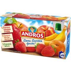 Andros Sans Sucres Ajoutés - Desserts fruitiers assortis les 10 gourdes de 90 g