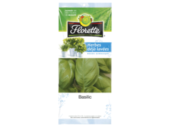 Basilic Florette 11g
