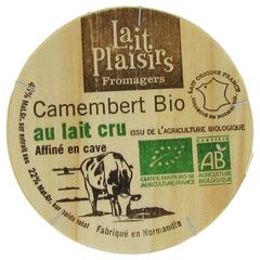 Camembert bio au lait cru 45 % MG