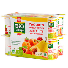 Yaourts fruits Bio Village Panaches 12x125g