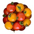 Tomate cerise méli mélo, SAVEOL, catégorie Extra, France 250 g