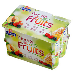 Yaourts aux fruits Delisse 12x125g
