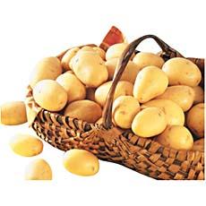 Pommes de terre 2,5kg