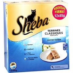 Coffret océan terrine pour chat SHEBA, barquette de 12x85g