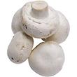 Gros champignons blancs extra pied coupé à farcir 500 g