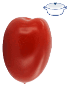 Tomate allongee Cal 57 mm + Cat1