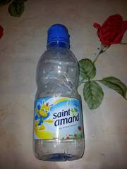 Saint Amand Eau minérale naturelle la bouteille de 33 cl