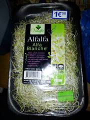 Alfalfa blanche, graines germées, certifié AB
