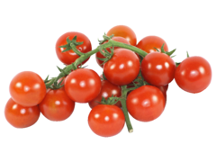 Notre sélection Tomates COKTAIL EN GRAPPE en barquette de 500 gr env