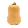 Courge Butternut, France 1 Kg