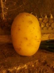 Pommes de terre agata, 5kg