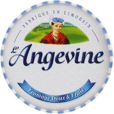Fromage au lait pasteurise L'Angevine, 40%MG, 230g