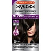 Saint Algue-Syoss Coloration Gloss Sensation sans ammoniaque chocolat noir 2-1 la boite de 115 ml
