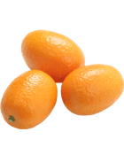 Kumquat Cat 1