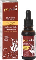 Solution Propolis Girofle & Cannelle - 30ml
