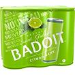 Eau gazeuse aromatisée citron vert BADOIT, canette 6x33cl