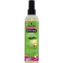 SMOOTH 'N SHINE Spray Coiffant Fixation et Brillance 250 ml - Lot de 2