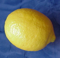 Citron Primofiori, calibre 4, catégorie 1, non traité après récolte, Espagne 500 g
