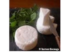 Petit fromage de chèvre frais au lait pasteurisé biologique 15% de matières grasses CHENE VERT,...
