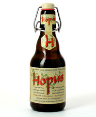 Hopus Blonde - Bière belge - 33 cl