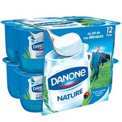 Yaourts nature au lait entier DANONE, 12x125g