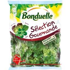 Bonduelle, Salade selection gourmande, le sachet de 125 gr