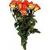 Roses 50 cm Ton Chaud, coloris assortis