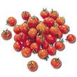 Tomate cerise bio barquette 250g France