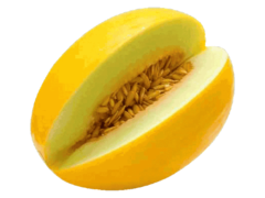 Melon jaune Pièce