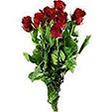 Rose rouge 50 cm
